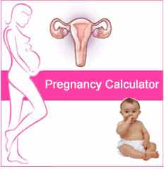 pregnancy calculator